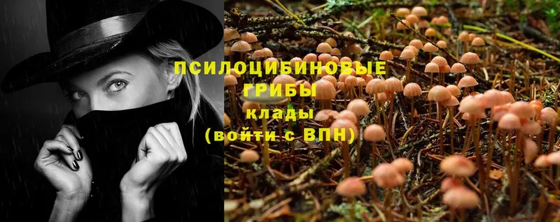 Галлюциногенные грибы Magic Shrooms  Кириллов 